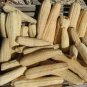 Premium Luffa Gourd Sponge Seeds | Non-GMO | Heirloom | 25+ Fresh Garden Seeds from USA