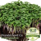 Exclusive Basic Salad Mix Microgreen Seeds | Non-GMO | Fresh BULK Garden Seeds USA