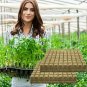 New Arrival Grodan 1"" x 1"" Rockwool Cubes for Propagation, Cloning, Seedlings | 100 Pack