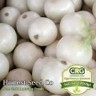 Premium White Wax Onion Seeds | Non-GMO | Heirloom | Fresh Garden Seeds USA Premium White Wax Onion Seeds | Non-GMO | Heirloom | Fresh Garden Seeds USA