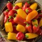 Limited Edition Mini Bell Pepper Seeds Mixed Colors, Non-GMO Grown Organically - Garden Seeds