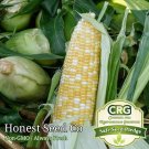 Limited Edition BULK Peaches & Cream SWEET Corn Seeds UNTREATED | Non-GMO | Fresh Garden Seeds Limited Edition BULK Peaches & Cream SWEET Corn Seeds UNTREATED | Non-GMO | Fresh Garden Seeds