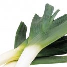 Premium 250+ Leek Seeds Organic Premium 250+ Leek Seeds Organic
