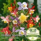 Premium McKana Giant Mix Columbine Seeds | Attracts Pollinators | Fresh Flower Seeds Premium McKana Giant Mix Columbine Seeds | Attracts Pollinators | Fresh Flower Seeds