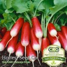 Exclusive 300+ French Breakfast Radish Seeds | Non-GMO | Heirloom | Fresh Garden Seeds Exclusive 300+ French Breakfast Radish Seeds | Non-GMO | Heirloom | Fresh Garden Seeds