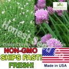 Premium Chives Seeds Garlic and Onion Combo Pack | Non-GMO | Fresh Garden Seeds from USA Premium Chives Seeds Garlic and Onion Combo Pack | Non-GMO | Fresh Garden Seeds from USA