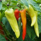 Top-Quality Sweet Banana Pepper Seeds | Non-GMO | Fresh Garden Seeds Top-Quality Sweet Banana Pepper Seeds | Non-GMO | Fresh Garden Seeds