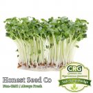 Limited Edition Bulk Radish Microgreen Seeds | Non-GMO Heirloom Seeds for Sprouting Micro Greens Limited Edition Bulk Radish Microgreen Seeds | Non-GMO Heirloom Seeds for Sprouting Micro Greens