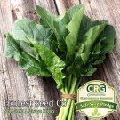 Premium 150+ Bloomsdale Spinach Seeds | Non-GMO | Heirloom | Fresh Garden Seeds USA Premium 150+ Bloomsdale Spinach Seeds | Non-GMO | Heirloom | Fresh Garden Seeds USA