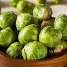 Premium Brussel Sprouts Seeds 600+ | Fresh Garden Seeds