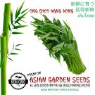 Limited Edition Thai Water Spinach seeds Ong Choy Kangkong Kong Xin Cai | Non-GMO Garden Seeds