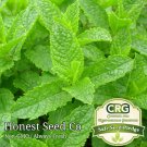 New Arrival 1000+ Spearmint Seeds | Non-GMO | Fresh Garden Seeds