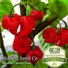 Limited Edition HOT Red Habanero Pepper Seeds | Non-GMO Garden Seeds from USA, 0 Shipping