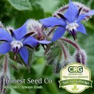 New Arrival 1200+ Seeds Borage Seeds Starflower, Tailwort | Non-GMO | Heirloom Garden Seeds