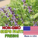 New Arrival Sage Seeds for Planting | Non-GMO, Heirloom | Fresh Garden Seeds from USA New Arrival Sage Seeds for Planting | Non-GMO, Heirloom | Fresh Garden Seeds from USA