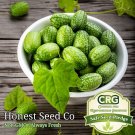 Premium Mexican Gherkin CUCAMELON Heirloom Seeds | Mini Cucumbers | Non-GMO Garden Seeds Premium Mexican Gherkin CUCAMELON Heirloom Seeds | Mini Cucumbers | Non-GMO Garden Seeds