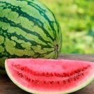 Top-Quality 25+ Crimson SWEET Watermelon Seeds