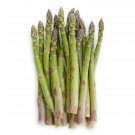 Top-Quality Mary Washington Asparagus Seeds | Non-GMO | Heirloom Vegetable Garden Seeds Top-Quality Mary Washington Asparagus Seeds | Non-GMO | Heirloom Vegetable Garden Seeds