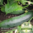 Limited Edition 50+ Marketmore 76 Cucumber Seeds | Non-GMO | Heirloom | Fresh Garden Seeds USA
