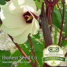Premium 100+ Red Okra Seeds | Non-GMO | Heirloom | Fresh Garden Seeds from USA Premium 100+ Red Okra Seeds | Non-GMO | Heirloom | Fresh Garden Seeds from USA