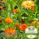Limited Edition Pacific Beauty Calendula Flower Mix | Fresh Heirloom Flower Seeds USA Ships 0 Limited Edition Pacific Beauty Calendula Flower Mix | Fresh Heirloom Flower Seeds USA Ships 0