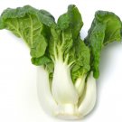Premium Pak Choi Canton White Stem Chinese Cabbage Seeds | Fast Growing Vegetable Seeds