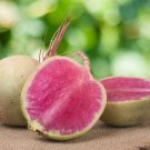 Top-Quality 300+ Watermelon Radish Seeds Top-Quality 300+ Watermelon Radish Seeds