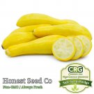 Best-Selling Straightneck Squash Seeds | Non-GMO | Heirloom | Fresh Garden Seeds USA Best-Selling Straightneck Squash Seeds | Non-GMO | Heirloom | Fresh Garden Seeds USA