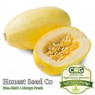 New Arrival 25+ Spaghetti Squash Seeds | Non-GMO | Fresh Heirloom Garden Seeds New Arrival 25+ Spaghetti Squash Seeds | Non-GMO | Fresh Heirloom Garden Seeds