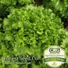 Premium 2000+ Salad Bowl Lettuce Seeds | Non-GMO Vegetable Garden Seeds from USA