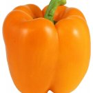 Exclusive 50+ Orange Bell Pepper Seeds | Non-GMO | Heirloom | Fresh Garden Seeds Exclusive 50+ Orange Bell Pepper Seeds | Non-GMO | Heirloom | Fresh Garden Seeds