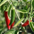 Top-Quality 100+ Serrano Pepper Seeds | Non-GMO Top-Quality 100+ Serrano Pepper Seeds | Non-GMO