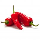 Top-Quality Fresno HOT Pepper Seeds | Non-GMO | Fresh Garden Seeds Top-Quality Fresno HOT Pepper Seeds | Non-GMO | Fresh Garden Seeds