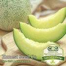 Premium Honeydew Melon Seeds | Non-GMO | Heirloom | Fresh Garden Seeds Premium Honeydew Melon Seeds | Non-GMO | Heirloom | Fresh Garden Seeds
