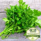Top-Quality Italian Parsley Seeds | Non-GMO | Fresh Garden Seeds Top-Quality Italian Parsley Seeds | Non-GMO | Fresh Garden Seeds