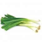 Top-Quality Toky Long White Bunching Onion Seeds