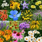 Best-Selling All Perennial Flower Seed Mix | 17 Flower Varieties Best-Selling All Perennial Flower Seed Mix | 17 Flower Varieties