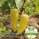 Premium Hungarian Wax Pepper Seeds | Non-GMO | Fresh Garden Seeds USA Premium Hungarian Wax Pepper Seeds | Non-GMO | Fresh Garden Seeds USA