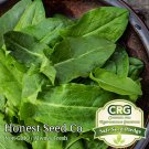 Exclusive 300+ Sorrel Seeds Large Leaf | Non-GMO Fresh Garden Seeds USA Exclusive 300+ Sorrel Seeds Large Leaf | Non-GMO Fresh Garden Seeds USA