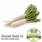 New Arrival Daikon Radish Seeds | 100-1000+ Seeds | Non-GMO Radish Seeds from USA