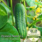 Exclusive Ashley Garden Cucumber Seeds | Non-GMO | Heirloom Vegetable Garden Seeds Exclusive Ashley Garden Cucumber Seeds | Non-GMO | Heirloom Vegetable Garden Seeds