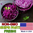 Top-Quality 400+ Red Cabbage Seeds | Non-GMO | Fresh Garden Seeds USA 0 Shipping Top-Quality 400+ Red Cabbage Seeds | Non-GMO | Fresh Garden Seeds USA 0 Shipping