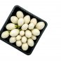 Exclusive 30 EASTER EGG PLANT Ornamental Easter Eggplant / Nest Egg Solanum Ovigerum Seeds