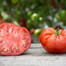 Top-Quality 500 BEEFSTEAK TOMATO Lycopersicon Lycopersicum Fruit Vegetable Seeds Top-Quality 500 BEEFSTEAK TOMATO Lycopersicon Lycopersicum Fruit Vegetable Seeds