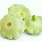 Top-Quality 20 Green Tint BUSH SCALLOP SQUASH Patty Pan Cucurbita Pepo Vegetable Seeds Top-Quality 20 Green Tint BUSH SCALLOP SQUASH Patty Pan Cucurbita Pepo Vegetable Seeds