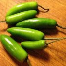 Best-Selling 200 Hot SERRANO TAMPIQUENO PEPPER Mexican Chile Capsicum Annuum Vegetable Seeds