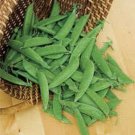 Top-Quality 50 Oregon SUGAR POD II Pea Pisum Sativum Macrocarpon Vegetable Seeds
