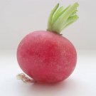 Exclusive 2000 CRIMSON GIANT RADISH Raphanus Sativus Vegetable Seeds Exclusive 2000 CRIMSON GIANT RADISH Raphanus Sativus Vegetable Seeds