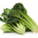 Top-Quality 1000 TATSOI Brassica Rapa Rosularis Tat Soi Bok Choy Spinach Mustard Greens Seed
