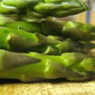 New Arrival 100 MARY WASHINGTON ASPARAGUS Officinalis Perennial Vegetable Seeds New Arrival 100 MARY WASHINGTON ASPARAGUS Officinalis Perennial Vegetable Seeds